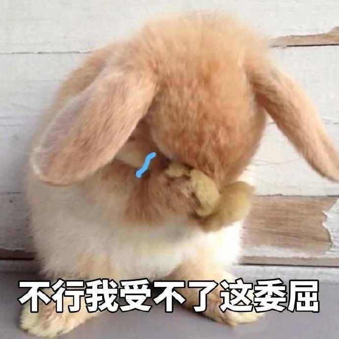這些梗你知道多少？
