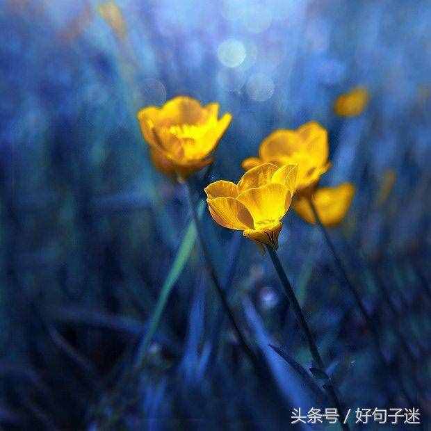感性且不矯情的句子，句句走心，第一句就說出了我的心聲！
