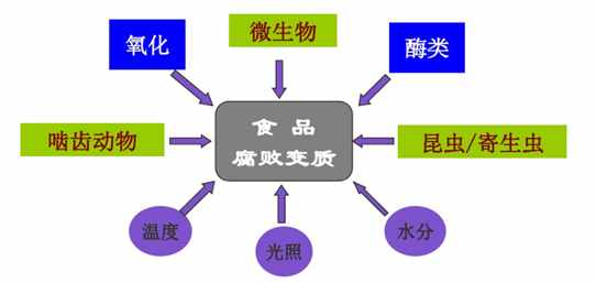食品保存的技術(shù)理論——柵欄技術(shù)