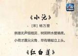 今日更新夏天的詩(shī)（25首關(guān)于夏天的經(jīng)典詩(shī)詞）