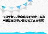 今日更新??湖南路綠地紫金中心房產(chǎn)證是在哪里辦理應(yīng)該怎么查詢呢