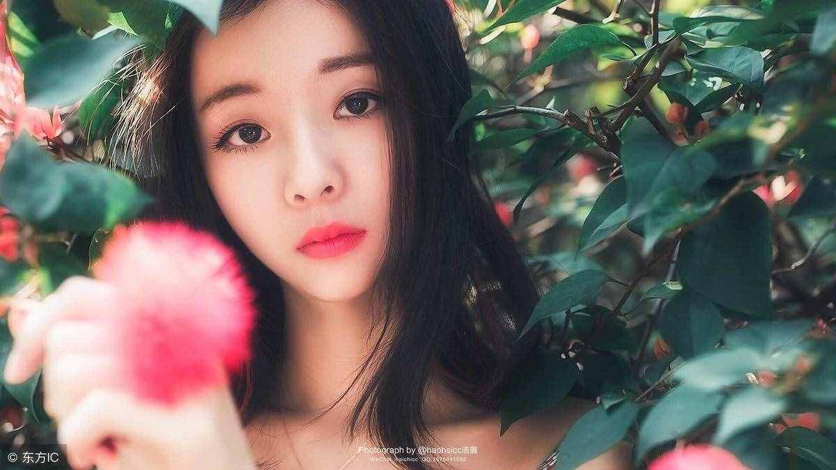 《憧憬》，一篇絕佳美文，值得一讀！