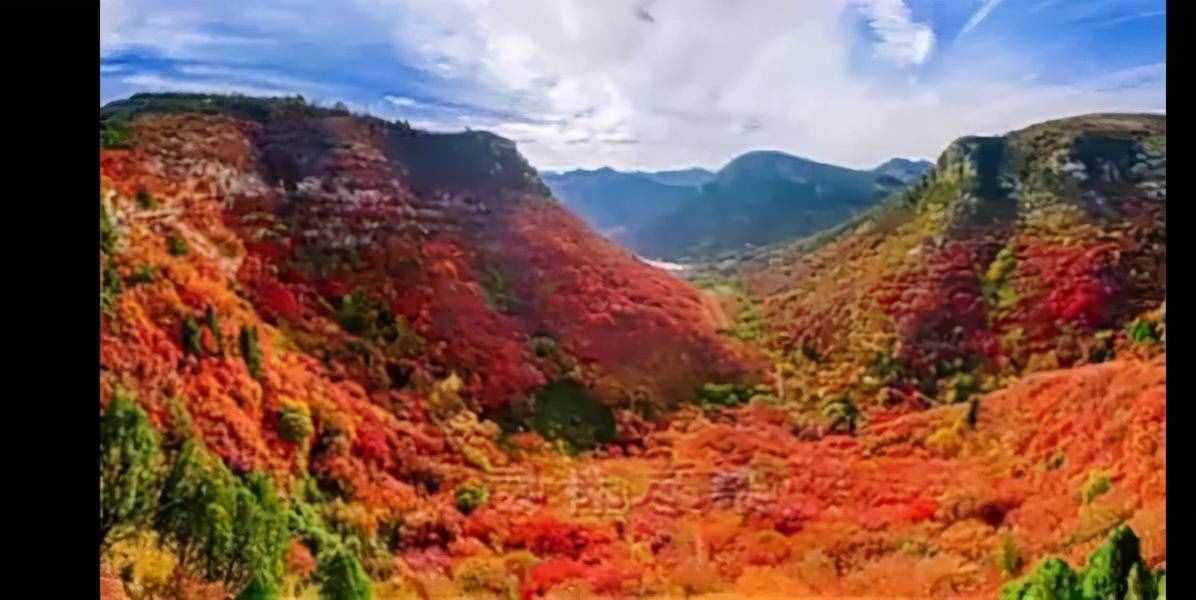 學(xué)生佳作｜今朝唯我少年郎----讀《沁園春·長沙》有感