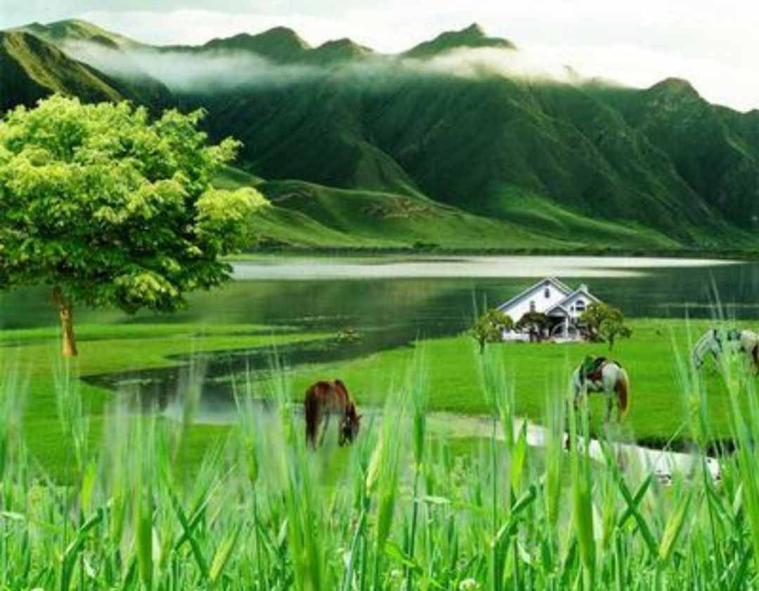 十部頂級種田文小說，質(zhì)量上佳口碑好，你追過幾部？