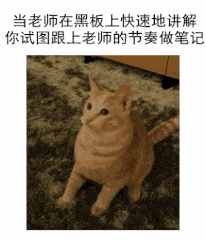 iPhone裝機(jī)必備6個(gè)APP，相當(dāng)實(shí)用！欲罷不能！看看你裝了幾個(gè)
