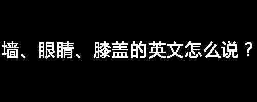 墻、眼睛、膝蓋的英文怎么說？我愛你「抖音表情包」