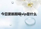 今日更新酷喵vip是什么