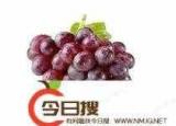 今日更新葡萄英語怎么讀（葡萄用英語怎么說讀）