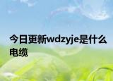 今日更新wdzyje是什么電纜