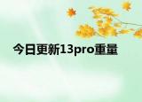 今日更新13pro重量