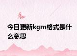 今日更新kgm格式是什么意思