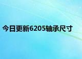 今日更新6205軸承尺寸