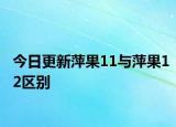 今日更新萍果11與萍果12區(qū)別