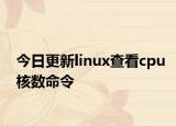 今日更新linux查看cpu核數(shù)命令