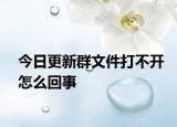 今日更新群文件打不開怎么回事