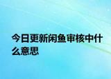 今日更新閑魚審核中什么意思