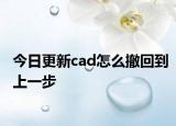 今日更新cad怎么撤回到上一步