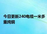 今日更新240電纜一米多重純銅