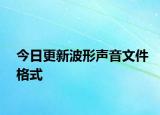 今日更新波形聲音文件格式