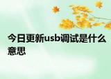 今日更新usb調(diào)試是什么意思