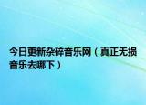 今日更新雜碎音樂(lè)網(wǎng)（真正無(wú)損音樂(lè)去哪下）