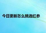 今日更新怎么挑選紅參