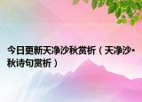 今日更新天凈沙秋賞析（天凈沙·秋詩句賞析）