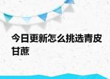 今日更新怎么挑選青皮甘蔗