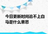 今日更新時(shí)間追不上白馬是什么意思