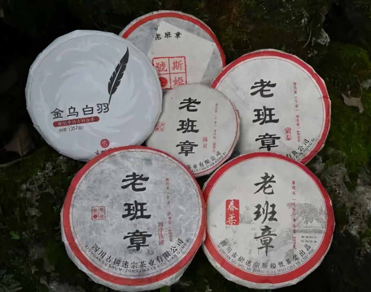 國粹與茶道