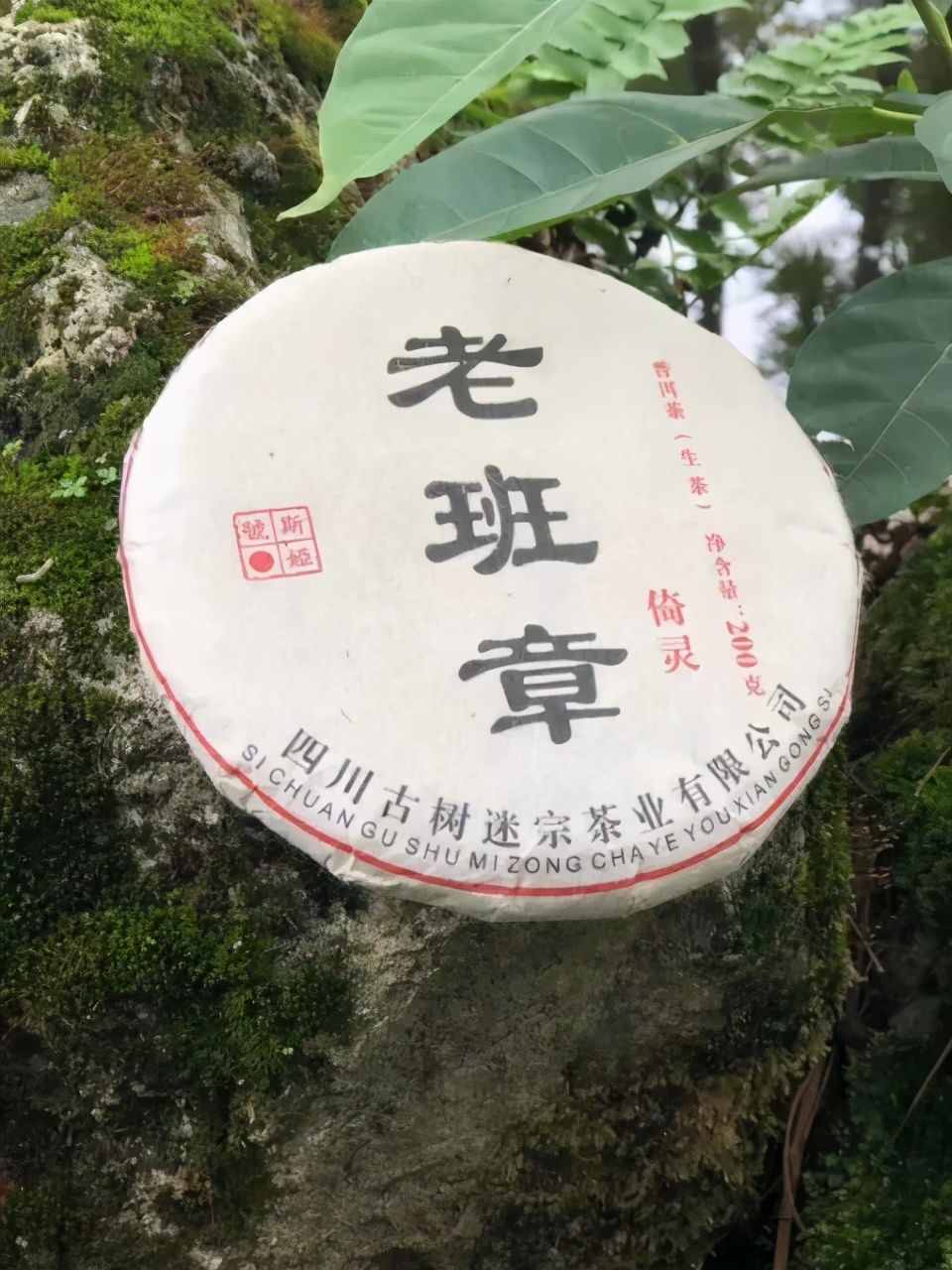 國粹與茶道