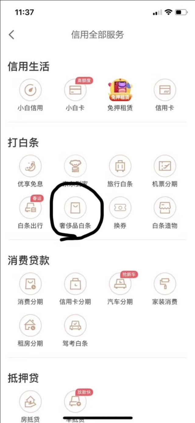 京東白條提額方法