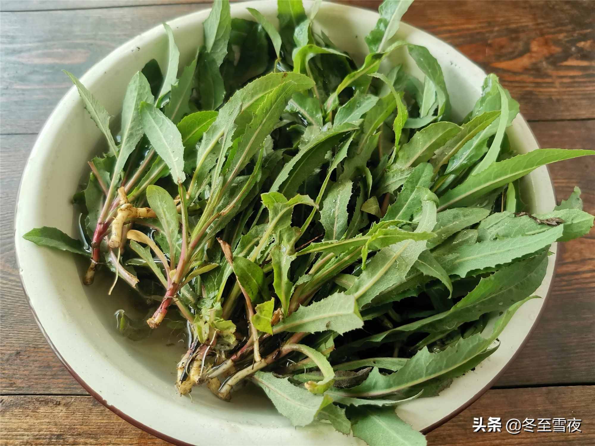 東北農(nóng)村，常吃的16種山野菜，現(xiàn)在城市里很少見(jiàn)，你吃過(guò)幾種？