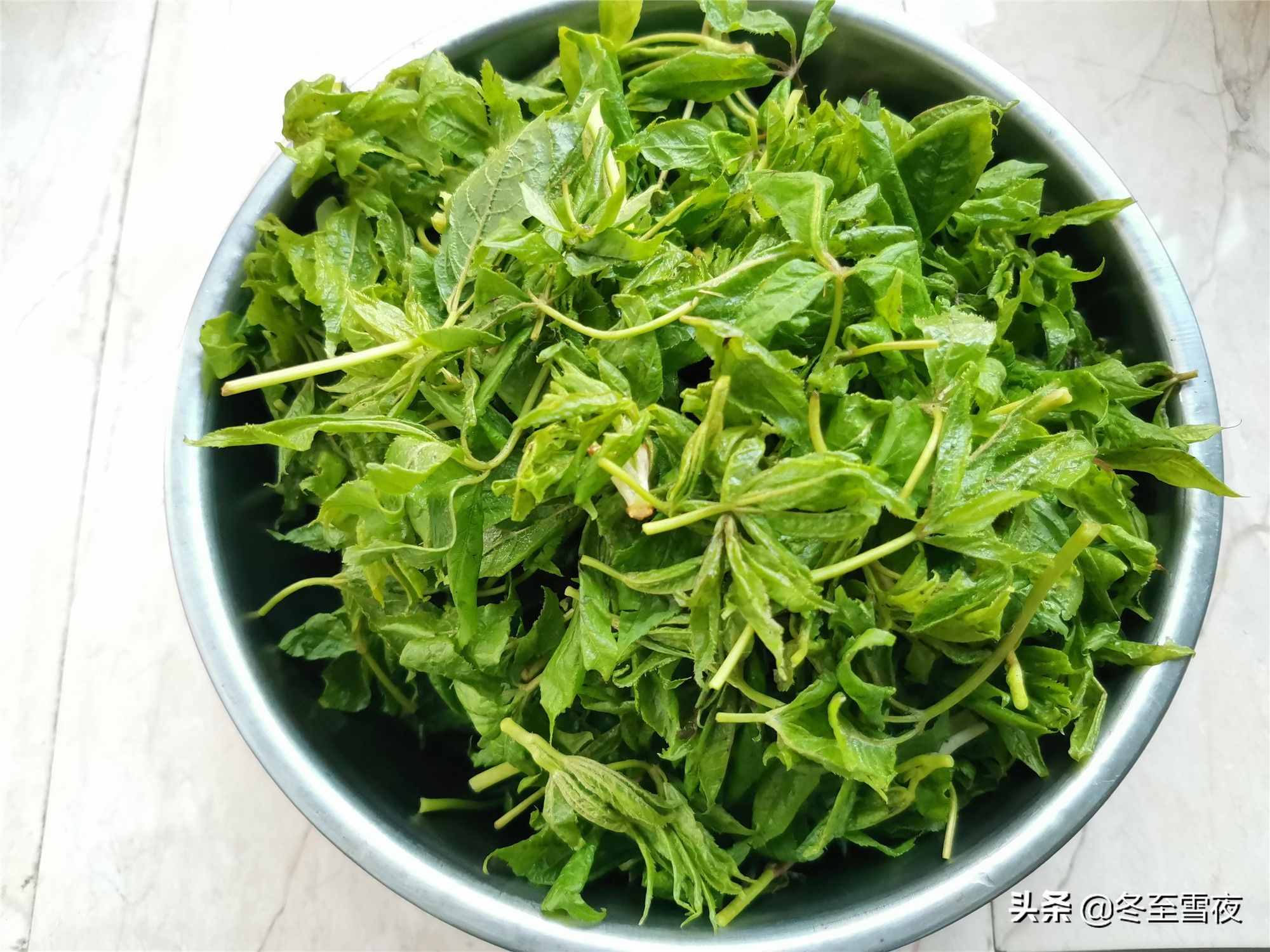 東北農(nóng)村，常吃的16種山野菜，現(xiàn)在城市里很少見(jiàn)，你吃過(guò)幾種？