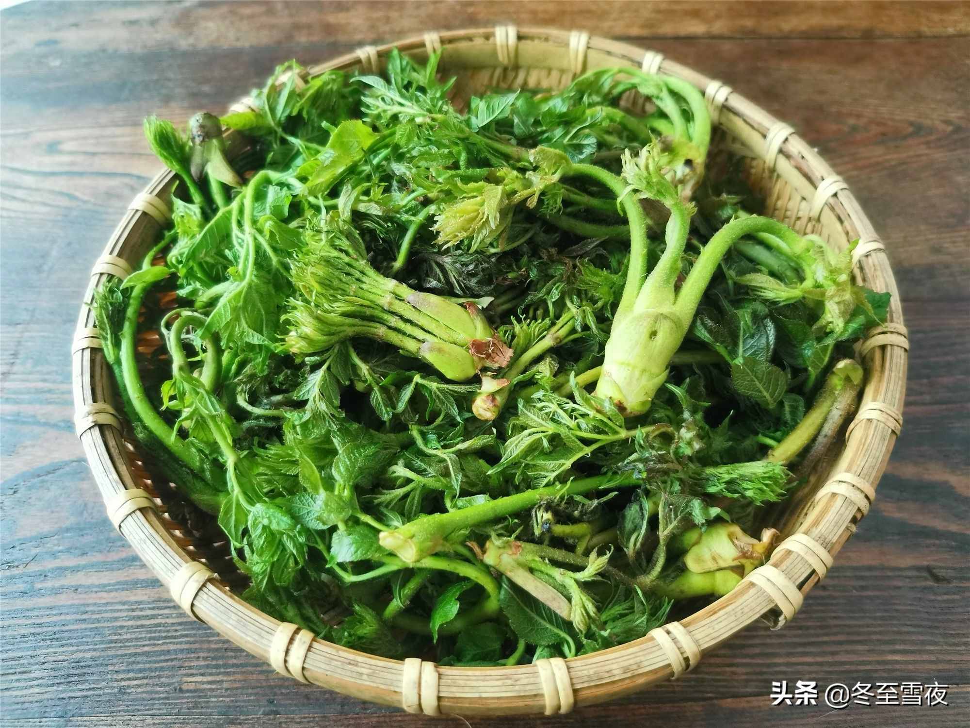 東北農(nóng)村，常吃的16種山野菜，現(xiàn)在城市里很少見(jiàn)，你吃過(guò)幾種？