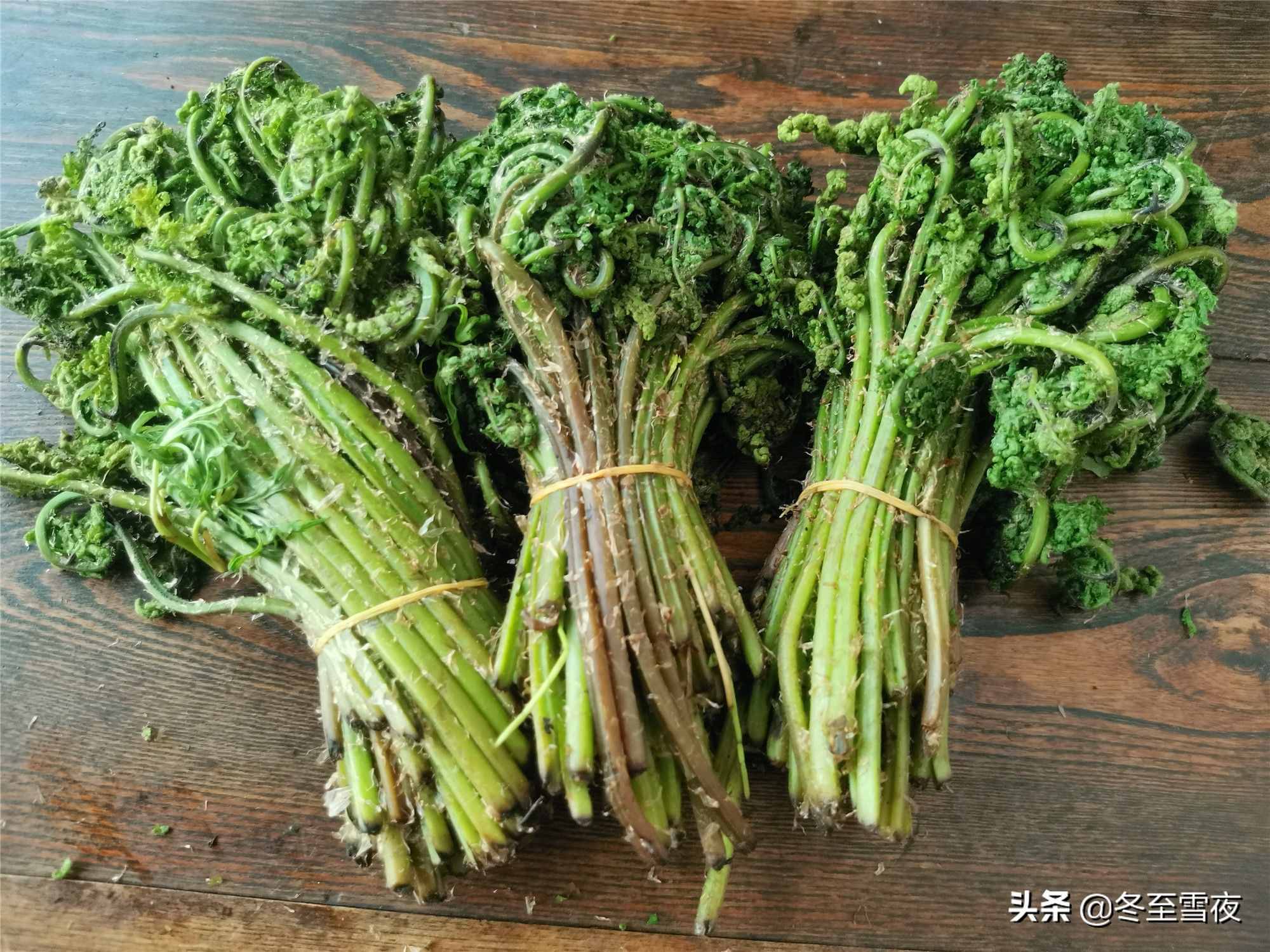 東北農(nóng)村，常吃的16種山野菜，現(xiàn)在城市里很少見(jiàn)，你吃過(guò)幾種？