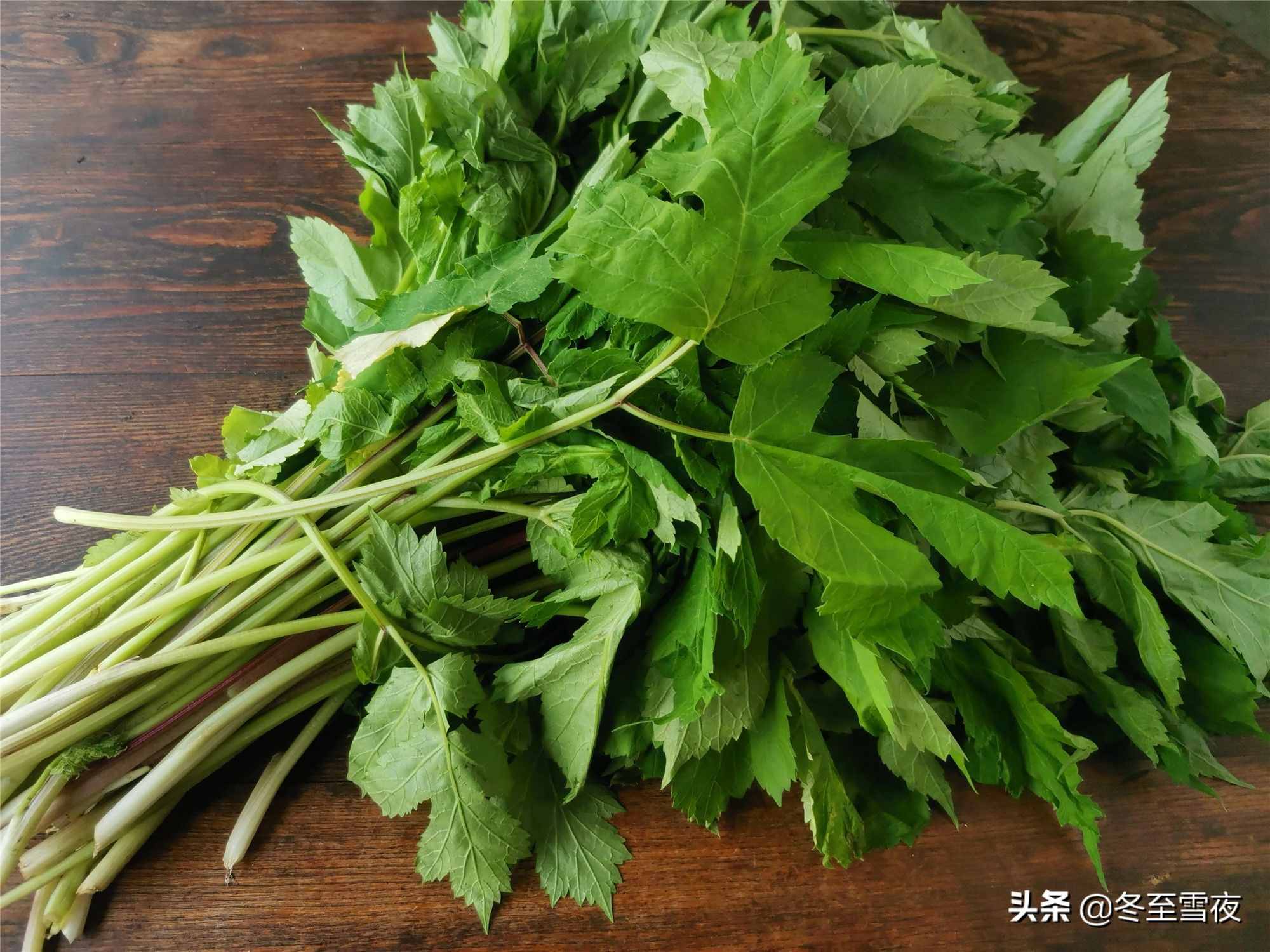 東北農(nóng)村，常吃的16種山野菜，現(xiàn)在城市里很少見(jiàn)，你吃過(guò)幾種？