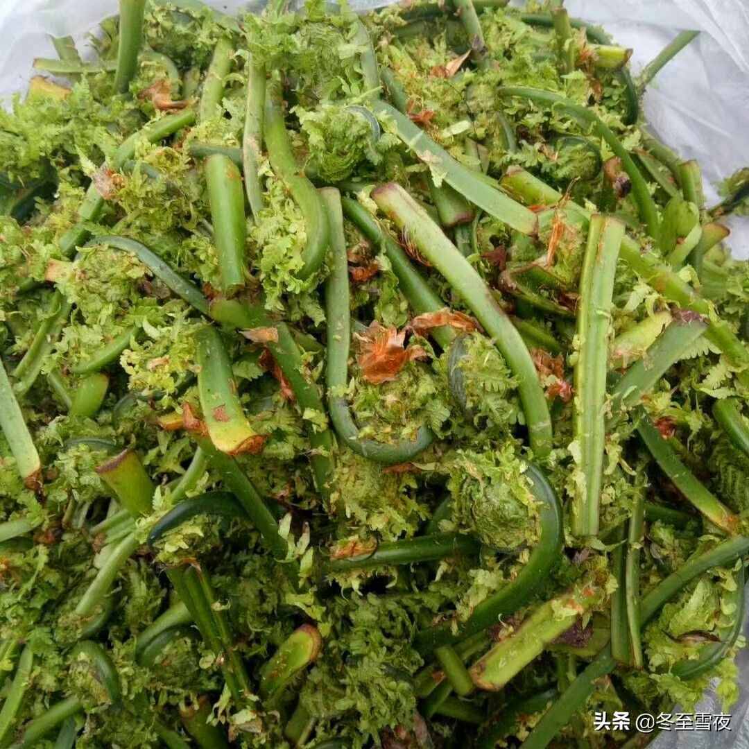 東北農(nóng)村，常吃的16種山野菜，現(xiàn)在城市里很少見(jiàn)，你吃過(guò)幾種？