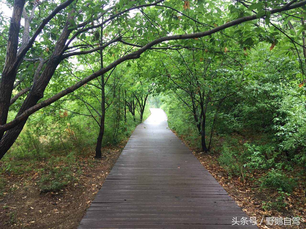 自駕懷柔，沿路的風(fēng)景，只有在路上的人會(huì)懂！