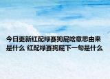 今日更新紅配綠賽狗屁啥意思由來是什么 紅配綠賽狗屁下一句是什么