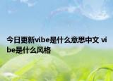 今日更新vibe是什么意思中文 vibe是什么風(fēng)格