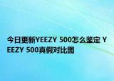 今日更新YEEZY 500怎么鑒定 YEEZY 500真假對比圖