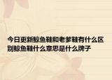 今日更新鯨魚鞋和老爹鞋有什么區(qū)別鯨魚鞋什么意思是什么牌子