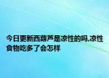今日更新西葫蘆是涼性的嗎,涼性食物吃多了會怎樣