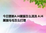 今日更新AJ4黑貓?jiān)趺辞逑?AJ4黑貓馬毛怎么打理