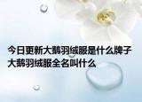 今日更新大鵝羽絨服是什么牌子 大鵝羽絨服全名叫什么