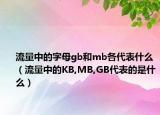 流量中的字母gb和mb各代表什么（流量中的KB,MB,GB代表的是什么）