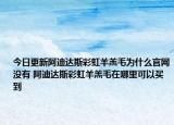 今日更新阿迪達斯彩虹羊羔毛為什么官網沒有 阿迪達斯彩虹羊羔毛在哪里可以買到