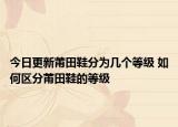 今日更新莆田鞋分為幾個等級 如何區(qū)分莆田鞋的等級