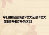 今日更新籃球是5號(hào)大還是7號(hào)大 籃球5號(hào)和7號(hào)的區(qū)別